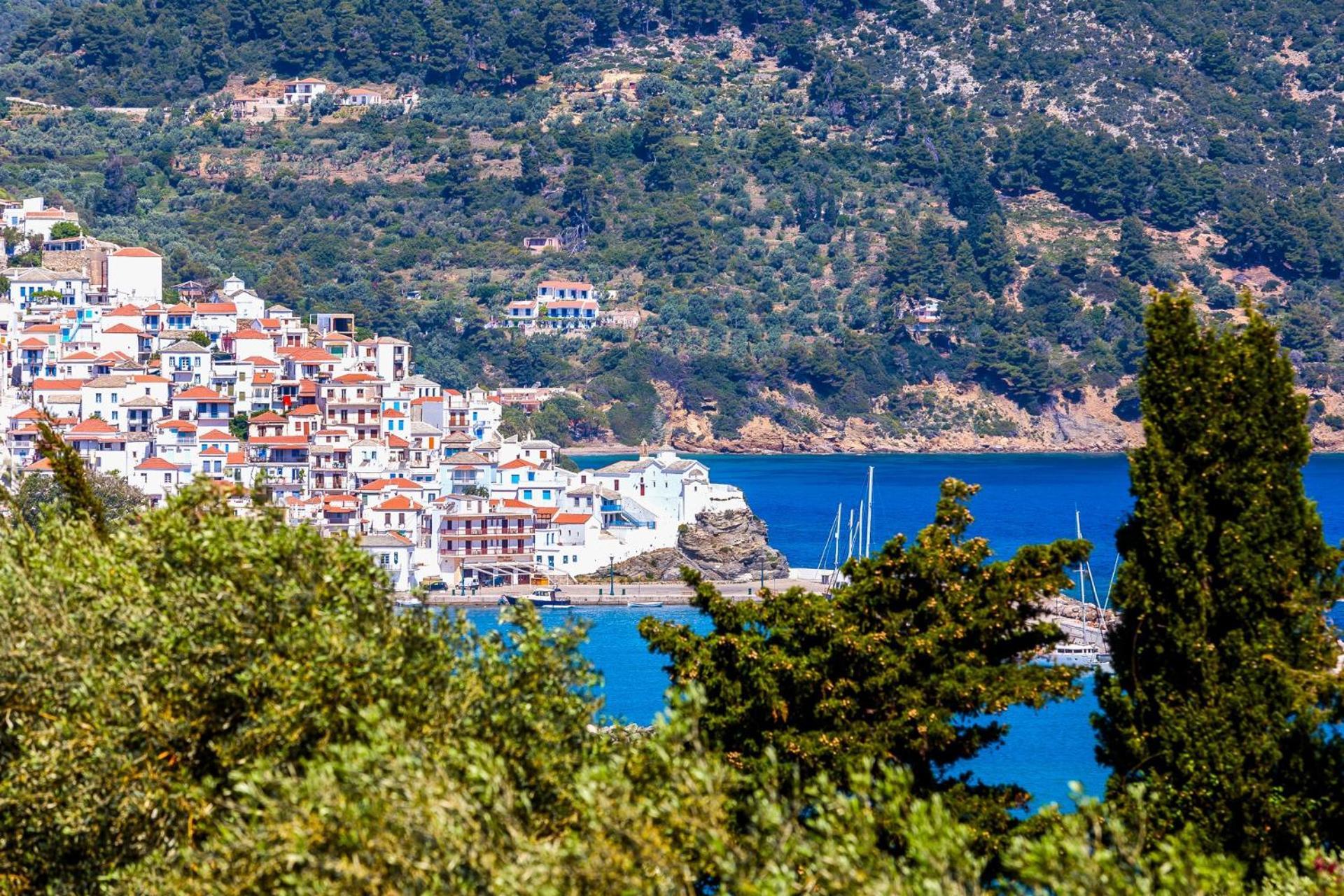 Naiades Superior Apartments In Skopelos With Sea View Close To The Town Екстериор снимка